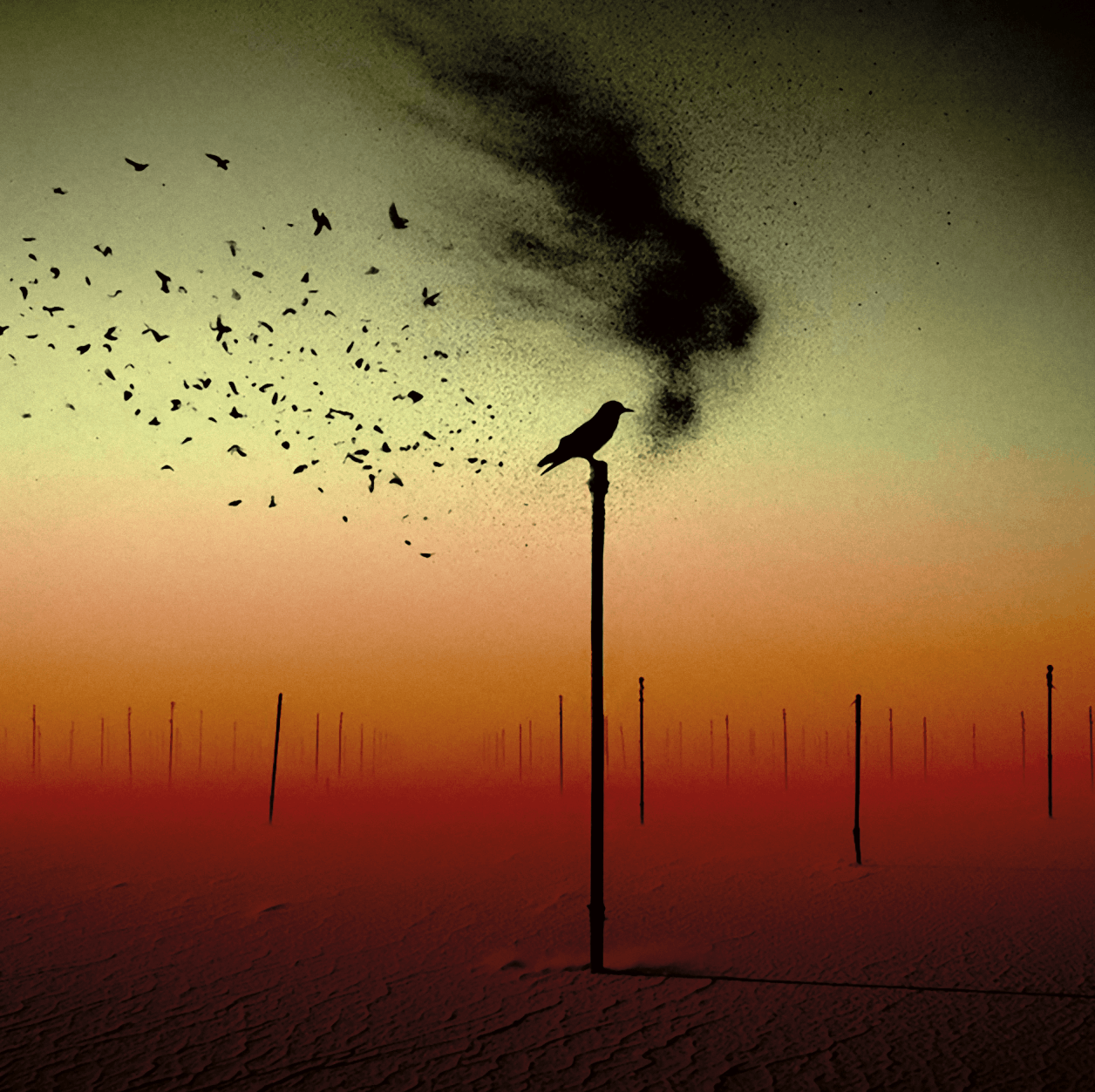 For a bird that never flew